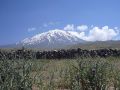 335 a Der Ararat (5165 m)